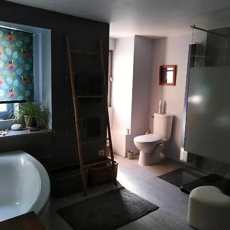 La Maison Aux Oiseaux Gasthuis Aubais